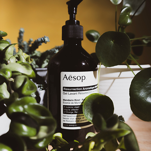 Bote de Aesop