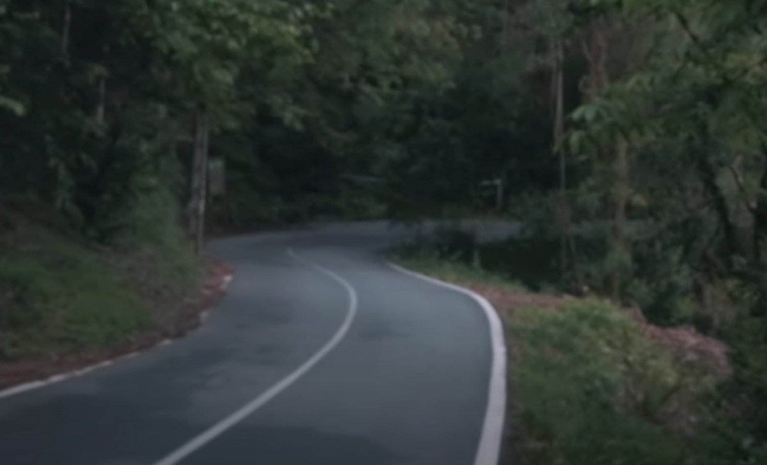 Carretera entre el bosque